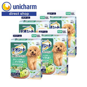 jE`[ yP[XzfIV[gL&tOXO[A}̍背M[ 120×4܁yVbvz