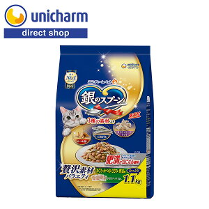 jE`[ ̃Xv[ґfރoGeB얞CɂȂLp܂EE݁Eؖ 1.1kgyVbvz