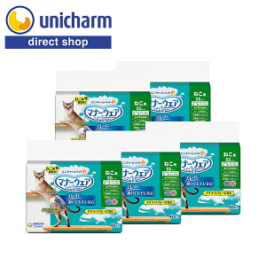 jE`[ }i[EFA ˂p SSTCY 40×5 yVbvz