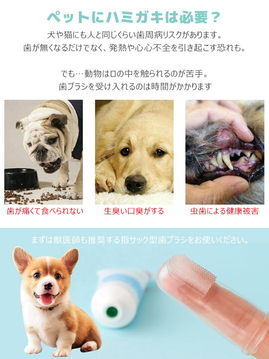 楽天市場 ペット歯ブラシ 犬猫用歯磨き ペット用指歯ブラシ 歯みがきシート 子犬猫クリーニング用品ソフトブラシ イボイボ付き 口腔ケア シリコン製 10個セット Unicona 楽天市場店