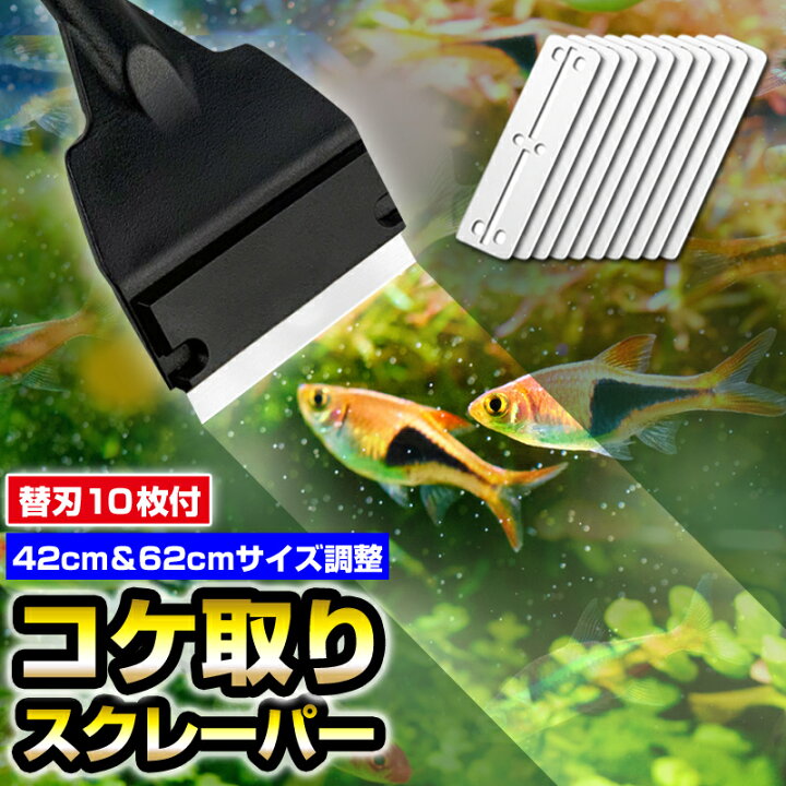 楽天市場 コケ取り スクレーパー 水槽 コケ対策 ガラス面 掃除 クリーナー 水草 苔 藻 熱帯魚 魚 42cm 62cm 替刃10枚 Unic Online Store