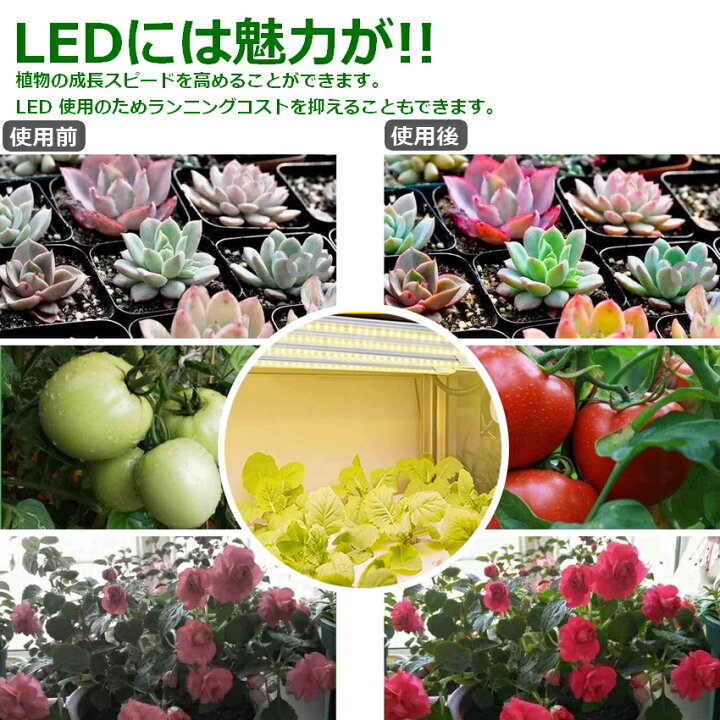 楽天市場 Led 観葉植物 植物育成ライト 観葉植物育成ライト 水草育成ライト 太陽光 多肉植物育成 Usb電源付 育成ライト 室内栽培 水耕栽培 192led 15w グローライト スタンド Ledライト 調光 タイマー機能 育苗 水草 梅雨時期 冬 日照不足 省エネ Usb電源式 クリップ式