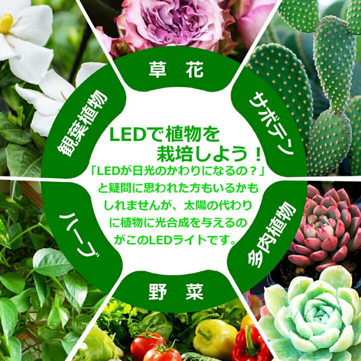 楽天市場 Led 観葉植物 植物育成ライト 観葉植物育成ライト 水草育成ライト 太陽光 多肉植物育成 Usb電源付 育成ライト 室内栽培 水耕栽培 192led 15w グローライト スタンド Ledライト 調光 タイマー機能 育苗 水草 梅雨時期 冬 日照不足 省エネ Usb電源式 クリップ式