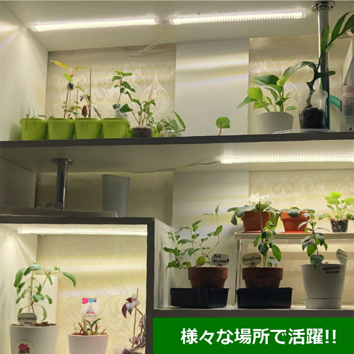 楽天市場】植物育成ライト led 観葉植物 ランプ 太陽光 室内栽培 調光 