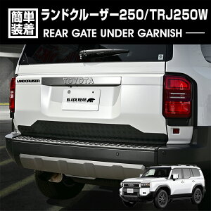 hN[U[ 250 TRJ250W 2024(R6).4` AQ[gA_[K[jbV ubN JX^ GNXeA hXAbv J[p[c ԗpi J[pi