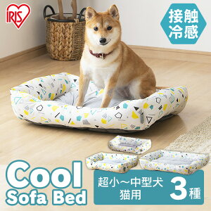 ybgxbh  Ђ N[ ybgpN[\t@xbh p^STCY PCSB-22S ^ ybgp N[ \t@xbh p^ ybg \t@ xbh ybgxbh Jh[   Ck 