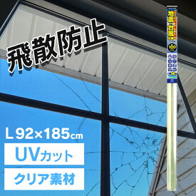 地震・台風対策フィルムL クリア HGS10L地震フィルム 台風フィルム 飛散防止フィルム 飛散防止ウィンドゥフィルム 災害用フィルム 飛散防止 台風 地震 防災 災害 窓 台風対策 地震対策 窓ガラス 【D】