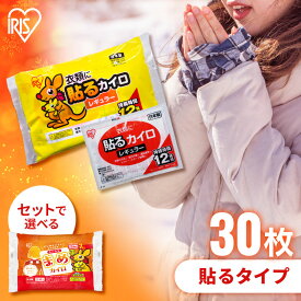 【まめカイロ付きがお得！】カイロ 貼るカイロ 貼るタイプ 貼るカイロレギュラー 30枚 カイロ 貼る 貼るタイプ レギュラーサイズ 普通 使い捨て 備蓄 防寒 寒さ対策 まとめ買い