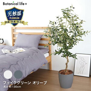 ϗtA tFCN  tFCNO[ I[u ϗtA G}  R L hJrlHϗtA sv  CeA 蕨 rO _CjO Q  yTDz y