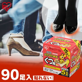 カイロ 貼らない 貼らないカイロ 靴用カイロ 90足 (15足入×6個) すべり止め付 足 足先 温める 使い捨てカイロ 貼れない 足用 屋外作業 レジャー 通勤 通学 冬 防寒 寒さ対策 アイリスオーヤマ ぽかぽか家族 PKN-15K #