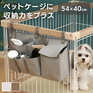 P[W |Pbg [ ybgP[W[ 45366ybg ybgpi [ ybgP[W ybgP[W[ Vv |Pbg ȒPt Lk tbNt AC{[ O[ uE