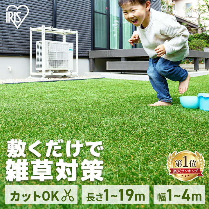楽天市場】【最大7％OFFクーポン】＼楽天1位＆レビュー550件以上／人工 