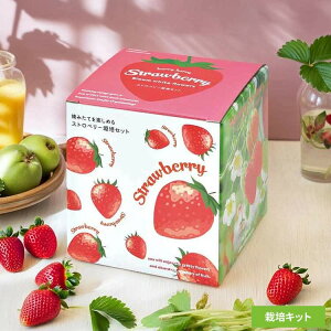 E݂ăC`S͔|Zbg GD-1000͔|Lbg ͔|Zbg C`S V|  lGȂ肢 SEISHIN CeA 킢