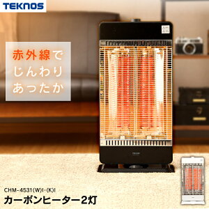 電気ストーブ カーボンヒーター 2灯 900W 450W 強弱切替 ストーブ 遠赤外線 ヒーター 小型 電気ヒーター カーボン 首振り 速暖 安全機能付 足元 リビング 寝室 洗面所 脱衣所 暖房器具 暖房 テク