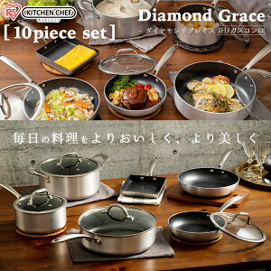 tCp 10_Zbg Zbg _ChOCX DG-SE10 tCp Zbg  _ChR[gp  18cm 20cm 24cm 26cm v  KX  IH IHΉ Vo[ uY AC