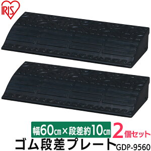 y2Zbgziv[g S Op 10cmi S GDP-9560 60cm Siv[g iX[v X[v ԏ i ֑O  ܂Âh~ ]|h~ oCN ] VjAJ[ 