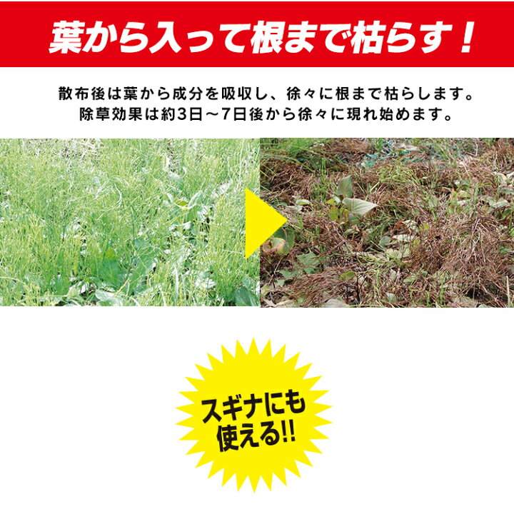 楽天市場 除草剤 2l 速効除草剤 2l Sjs 2l 除草剤 雑草対策 除草 除草剤 2ｌ 2リットル 草むしり 草 秋 雑草 速効 庭 手入れ 雑草 液状 薄めない そのまま ストレートタイプ 根 草木 駐車場 工場 敷地 多年生 住宅 アイリスオーヤマ