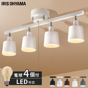 yő400~N[|z_dt^ V[OCg 4 led Xg[g Ɩ ԐڏƖ X|bgCg rOp _CjOp k  JtF tȒP ؖڒ tBgd