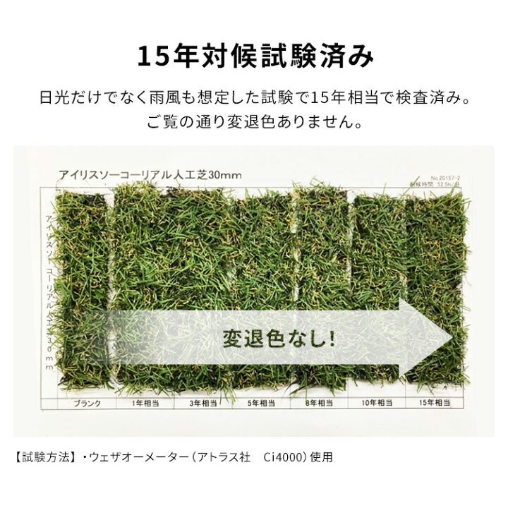 楽天市場】【当店大人気！レビュー700件以上☆】人工芝 2m×10m 