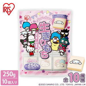 yő400~N[|z  ؂ TI 250g  ۑ Y  킢 LN^[ ؂ ؖ q   N Nn U   H ~ َq mochi 
