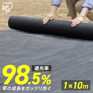 [ő400~N[|]lH hV[g 10m ŐV[g ACXI[}h hV[g h΍   G G΍ ȒP Ռ  hpi K[f K[fjO 10m   ͂ sD