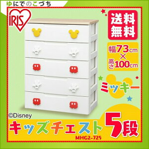 LbY`FXg 5i MHG2-725~bL[ `FXg 73 s43 100cm q ߗގ[ ߑւ o  [P[X ^X NNo V Vw V z[2512SO]