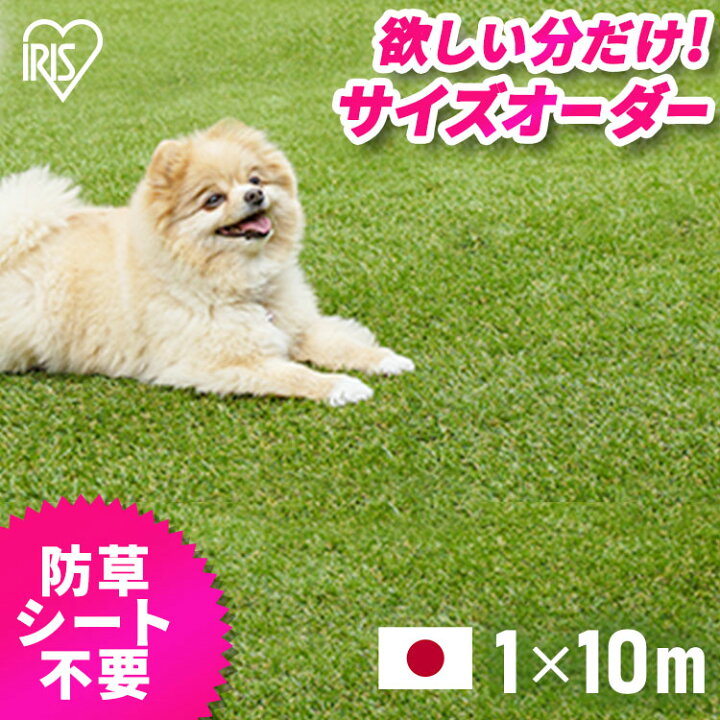 再入荷】 人工芝 ロール アイリスオーヤマ U字ピン24本付き 1m×10m 10平米<br>送料無料 庭 芝生 防草人工芝 防草シート不要 雑草対策 ガーデニング リアル人工芝 100cm×1000cm 芝丈3cm 30mm RP-30110 人工芝 ロール 2m×10m 芝丈 35mm リアル ふかふか 芝生マット 人工芝生 芝生シート 2×10 人口芝 人工芝ロール 芝生 ロールタイプ 高密度 固定ピン 庭 ベランダ バルコニー ドッグラン ガーデニング 水はけ ガーデン〔D〕