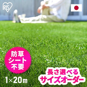 yő400~N[|zlH 1m×20m ACXI[} hV[ǧ^ [ h ŏ30mm 20 IP-30120   Ő K[f ybg AlH lHŐ lHŃ}bg lHŃ[ 