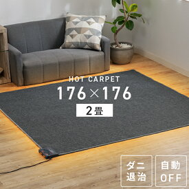 [最大400円OFFクーポン]ホットカーペット ミニ 2畳 電気カーペット ミニサイズ電気カーペット 176×176cm 2畳 2畳用 ホットマット 電気マット 二畳 ホットカーペット本体 床暖房カーペット 暖房 面積切替 節電 グッズ ダニ対策 TEKNOS