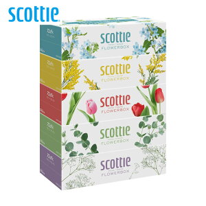 XRbeB eBbV t[{bNX 250g(500) 5pbN 41331eBbVy[p[ eBbV eBV[ t[ {bNX e  RpNg 250g 5pbN @ SCOTTIE XR