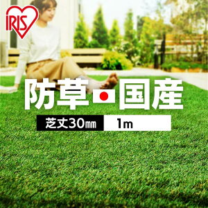 [ő400~N[|]lH 1m×10m ACXI[} hV[ǧ^ [ hV[gsv ŏ30mm lHŐ lHŃ}bg Ń}bg Ő 10 10[g G K[fjO x