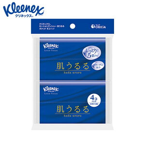 [ő400~N[|]|PbgeBbV [VeBbV ێ NlbNX eBV[ [V ێ  |PbgeBbV 12gi24j×4RpbN 47017|PbgeBbV 