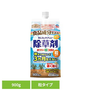  A[X K[fpi ̑R ^Cv 900g A[XK[f EARTH [₭ Hi   t[c̍ G _[2512SO]