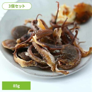 y3z^Rۊ ܂  85g    ۊ ܂   CC_R  yY Tokka yTDz ysz