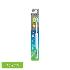 [ő400~N[|]OCH-TUNEiIN`[jnuV FAST CI OCH-TUNE I[PA uV C ^ RpNgwbh ɍז FAST t@[Xg LION