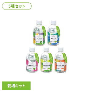 【5種セット】グリーンペット(ミント・バジル・ワイルドストロベリー・レタス・ミニトマト) 栽培キット 栽培セット ミント バジル ワイルドストロベリー レタス ミニトマト 聖新陶芸 SEI