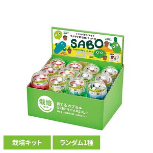 ĂJvZ T{e GD-921͔|Lbg ͔|Zbg T{e V| SEISHIN K` ڂĂ Mtg gQgQ[2512SO]