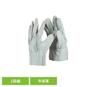 [ő400~N[|]vwD 1P TA-533v wD v U[O[u d n Lv L^}