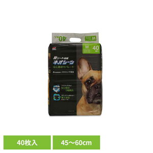 [ő400~N[|]lIV[c J[{Zp[g Ch40 3630354ybgpi ybgV[c ^ L z  Ck  gC ЃR[`[