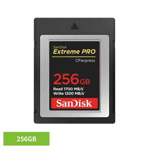 [�ő�400�~OFF�N�[�|��]SanDisk �G�N�g���[�� �v�� CFexpress Type B �J�[�h 256GB SDCFE-256G-JN4NNSD�J�[�h 256GB sandisk �T���f�B�X�N �R���p�N�g ��e�� �f�[�^�ۑ� ���ϋv ���掿 �T���f�B�X�N