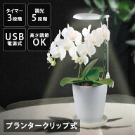 植物育成ライト クリップ式 5段階調光 オートタイマー USB電源式 LED 白色LED 赤色LED プランタークリッ…