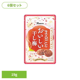 【6個】まるごとおいしい干し梅 19g カンロ かんろ kanro 梅 梅干し お菓子 おやつ 間食 種なし まとめ買い