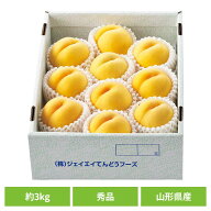 山形県産黄桃 約3kg（6〜14玉） 山形県産 黄桃 お取り寄せ 送料無料 産地直送 フルーツ ご褒美 季節の贈…