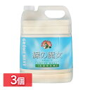 ＼激熱商品！／【3個セット】緑の魔女 ランドリー 業務用 5L ミマスクリーンケア 送料無料 服 5000mL 液体洗剤 衣類用 大容量 ドイツ 洗濯洗剤 洗濯機 作業服 パイプクリーナー 排水管掃除 バイオ・ハイテク洗剤 大掃除
