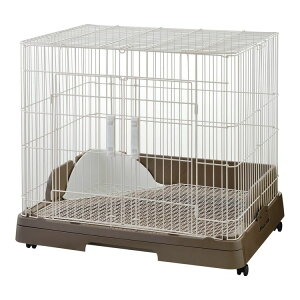 r X}[g[   ETM rbg P[W  