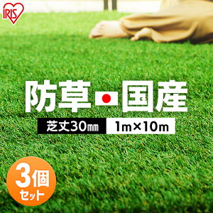 yő400~N[|zlH hV[ǧ^ 1m×10m ACXI[} [ hV[gsv ŏ30mm lHŐ lHŃ}bg Ń}bg Ő 10 10[g G K[fjO x