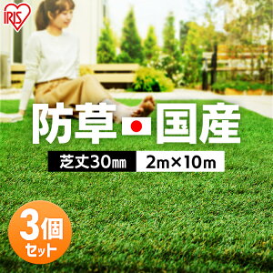 yő400~N[|!zlH hV[g ̌^ 2m×10m Y ACXI[} [ ŏ30mm G G΍ h RP-30210  Ő A K[f x_ K[fjO ybg oRj[ 