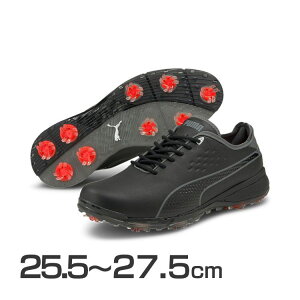y݌Ɍzv[} StV[YvA_vg f^ ubN NCGbgVFCh 193849 PUMA StV[Y \tgXpCN {v U[ V[[X R  bL[Et