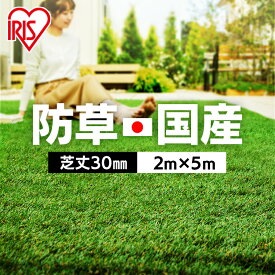 【即納】【レビュー記載でおまけプレゼント】人工芝 ロール 2m×5m【10平米】 芝丈30mm RP-3025 国産 リアル人工芝 防草人工芝 防草 雑草対策 雑草防止 国産人工芝 人工芝マット 芝生マット 200cm×500cm 芝丈3cm 人工芝ロール 芝生 ロールタイプ アイリスオーヤマ