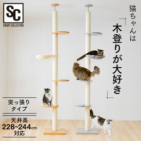 木登りキャットタワー KCCT‐244送料無料 キャットタワー 猫タワー 突っ張り キャットランド キャットポール 猫ツリー 木製 省スペース 爪とぎ 多頭飼い ナチュラル（NA) グレー（GY）【D】